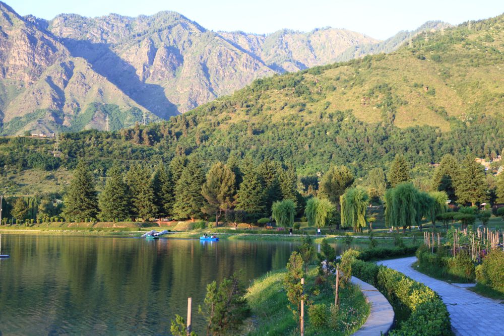 Shalimar Bagh Spring
